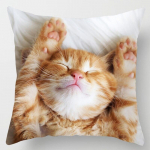 18-tolline Cat Collection padjap&uuml;&uuml;r kodu ja kontori sisekujundusega ruudukujuline padjap&uuml;&uuml;r 40x40cm