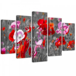Viieosalise pildiga l&otilde;uenditr&uuml;kk Red Poppies Watercolor 100x70 punane