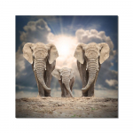 Moodsad loomade plakatid ja tr&uuml;kised Seinakunst, l&otilde;uendimaaling Aafrika elevantide karjapildid elutoa jaoks Cuadrose sisekujundus raamita 20x20cn No frame