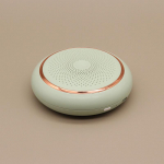 K&uuml;lmkapi desodoreerija &otilde;hupuhastusjalatsikapp osooni sterilisaator auto kodu kaheotstarbeline roheline