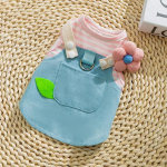 Kevadsuvi koera klassikaline Hongkongi kauboikleit kassi kahe jalaga seelik traksidega Kaisukaru lemmikloomakoera riided XS