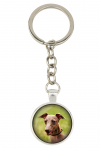 Azawakh, Tuareg Sloughi - keychain with your photo, key decoration, bag pendant from Art-Dog brand