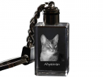 Abyssinian - Crystal pendant with cat photo, illuminated pendant, unique gift by Art-Dog brand