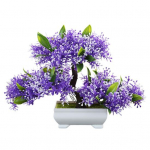 Suurep&auml;rane v&otilde;lts taim Pilkup&uuml;&uuml;dev 5 v&auml;rvi tuhmumisvastane