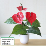 Rohelise redise lehtedega potitaim elutoa ja t&ouml;&ouml;laua kaunistamiseks