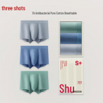 Sanqiang Men's Antibacterial Boxer Briefs 3-Pack 3XL