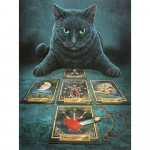 Teemanttikandid n&auml;put&ouml;&ouml;vaik Teemantmosaiik loom kass isetehtud teemantmaaling pildid kingitus 20X30CM