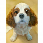 5D DIY Teemantmaali koer Ristpistes Mosaiik Teemanttikandid Roos T&auml;is&uuml;mmargune/ruudukujuline puur Kodukaunistus Round 20x30cm