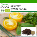 SAFLAX - Orgaaniline - Tomat - Kuldne kuninganna - 15 seemet - Potisubstraadiga paremaks kasvatamiseks - Solanum lycopersicum