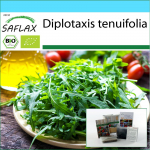 SAFLAX &ndash; kinkekomplekt &ndash; Orgaaniline &ndash; Wild Rocket &ndash; 1500 seemet &ndash; Koos kinkekarbi, kaardi, etiketi ja potisubstraadiga &ndash; Diplotaxis tenuifolia