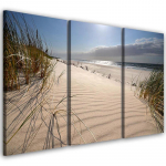 Kolmeosalise pildiga l&otilde;uenditr&uuml;kk Beach Sea Dunes Nature 60x40 beež