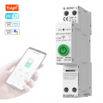 Tuya WiFi intelligentne automaatne taassulgumiskaitse Multifunktsionaalne voolupinge j&auml;lgimine Type C mitmev&auml;rviline