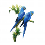 Rainbow Lorikeet troopiliste lilledega kleebis auto vin&uuml;&uuml;lkleebise veekindlal kaunistusauto kleebistel A-15cm-Longest Side