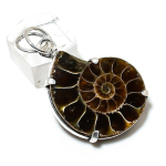 Natural Ammonite Fossil Gemstone Handmade 925 Sterling Silver Pendant 1.85 n2c10