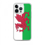 Coque iPhone &ndash; mitmev&auml;rviline &ndash; Drapeau Pays de Galles &ndash; Souple &ndash; TPU &ndash; &uuml;hilduv iPhone 11 Pro Max
