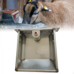 Automatic Animal Water Bowl, Versatile Drinking Solution in Stainless Steel for Farm Use L 31cmx26cmx9.5cm