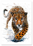 Plakat lampart ilustracja wydruk akwarela 30x40 cm