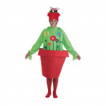 D&eacute;guisement de Pot de Fleurs - Disfrazzes - Taille Unique - Multicolore
