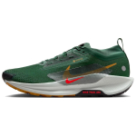Nike React Pegasus Trail 5 Gore-Tex 'Fir Clay Green Desert Ochre Bright Crimson' Meeste FQ0908-301 EU 42.5 gray