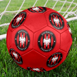Eintracht Frankfurt FC suurus 5 jalgpall, v&auml;rviline, sobib igas vanuses, masin&otilde;mmeldud, PVC materjalist, v&otilde;istlustasemel, vastupidav ja k&otilde;rge p&otilde;rkega