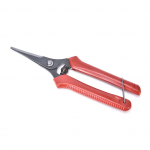 Taimede p&uuml;gamisk&auml;&auml;rid Aial&otilde;ikur Lillek&auml;&auml;rid K&auml;sitsi oksak&auml;&auml;rid isetehtud punane