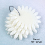 160 Tips Nail Art Display V&auml;rvitahvel Vale Tips Geellaki harjutusr&otilde;ngas