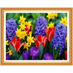 Muscari teemanttikandid lilled isetehtud teemantmaaling k&auml;sit&ouml;&ouml; helmestikandid t&auml;is kivid 20X30CM