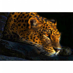 3D DIY Teemanttikandid Ristpistega Uhke panter Teemantmaaling Kodukaunistus 20X30CM