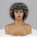 LISI HAIR L&uuml;hikesed lokkis parukad tukkidega Hallid Pruunid Mustad Afroparukad naistele K&otilde;rge temperatuuriga kiust s&uuml;nteetilisest juustest T33-27