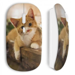 Minion Cat juhtmeta hiir