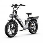ONESPORT OT08Pro Adult E-bike 500W Motor 48V36AH Dual Battery Mountain Off road Electric Bicycle 20 Inch Fat Tire Electric Bike hall