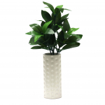 Shikimi kunstlille vaasikomplekt, umbes 28 cm k&otilde;rge, ideaalne mini-budistlike altarite jaoks, SOKA SGI poolt