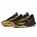 Nike meeste Precision VI Performance korvpallijalatsid 44