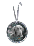 Labrador Retriever - crystal bauble with a photo, dog photo in crystal, personalized Christmas tree ornament by Art-Dog brand