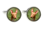 Pharaoh Hound, Kelb tal-Fenek - cufflinks, a shirt accessory, a shirt pendant from the Art-Dog brand