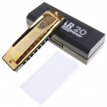 10 auguga kuldharmoonik, diatooniline bluus, harf, suu, orel, pillim&auml;ng, roostevabast terasest muusikariist