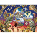 DIY t&auml;isring puur Teemantmaaling Loomade &ouml;&ouml;kull 5D Teemanttikandid &Ouml;&ouml;kulli maastik 20X30CM