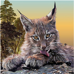 DIY Teemanttikandiga Loom Lynx Maalimine Portree 5D Teemantmaali Ristpistes 30x30CM