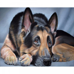 Teemanttikandid  Koer  5D teemantmaal Ristpistes Teemantmosaiikn&otilde;el k&auml;sit&ouml;&ouml; 20X30CM