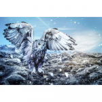 5D DIY teemantmaal Mosaiik  kotkas  Teemantkivist tikand Ristpistes Kodukaunistus 20X30CM