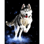 Husky Animal DIY digitaalne maal numbrite j&auml;rgi Moodne seinakunst l&otilde;uendimaal Unikaalne kingitus kodukaunistus 40x50cm 40x50cm no frame