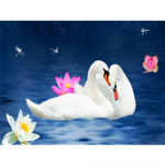 5D DIY Teemantmaal Uus Saabumine Loomade maastik Teemanttikandid Luikmosaiik Ristpistes Dekoor koduks Full Round 20X30CM punane