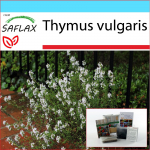 SAFLAX &ndash; Kingikomplekt &ndash; Harilik t&uuml;&uuml;mian &ndash; 200 seemet &ndash; Koos kinkekarbi, kaardi, etiketi ja potisubstraadiga &ndash; Thymus vulgaris