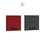 ELAST 3. minialbum ROAR Grey ver