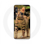 &Uuml;mbris Xiaomi Redmi Note 5 AI kahekaameraga Bengali kassit&otilde;ugu koomiksile