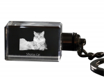 Siberian - Crystal pendant with cat photo, illuminated pendant, unique gift by Art-Dog brand