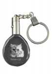 Persian Cat - Fob with cat photo, crystal key ring in gift box, unique gift by Art-Dog brand
