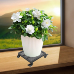 Movable Flower Pot Tray, Base, Easy to Carry, Strong Load-Bearing, with Wheels, Cart valge