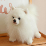 Kvaliteetne esmaklassiline simulatsioon Pomeranian koera plush m&auml;nguasi armsad t&auml;idisega loomad kutsika plushies nukk koomiks pehmed laste m&auml;nguasjad kingitused about 23cm