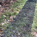 Kassipeletusmatt Lemmikloomade treening Black and L